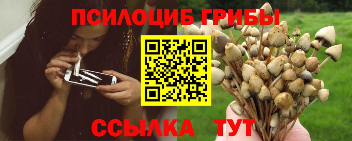 Галлюциногенные грибы Magic Shrooms Арсеньев